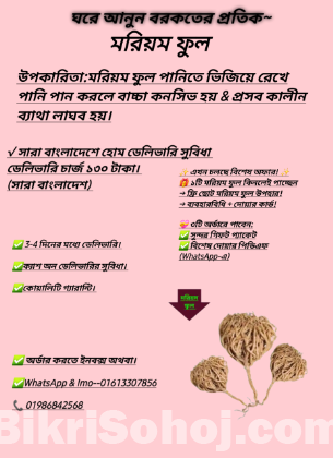 মরিয়ম ফুল ছোট সাইজ